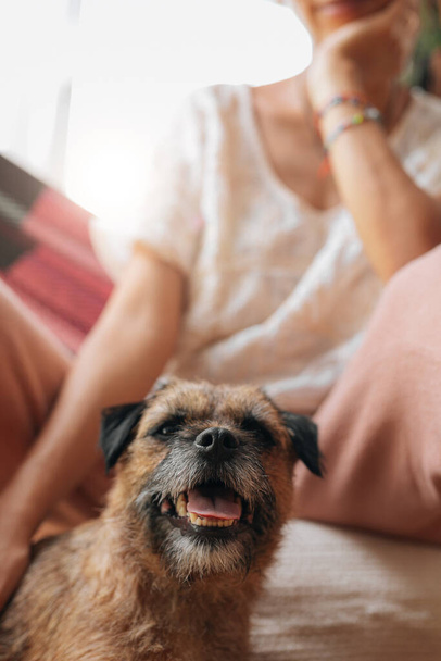 Маленькая собачка с владельцем латины проводит день дома и веселится - Фото, изображение