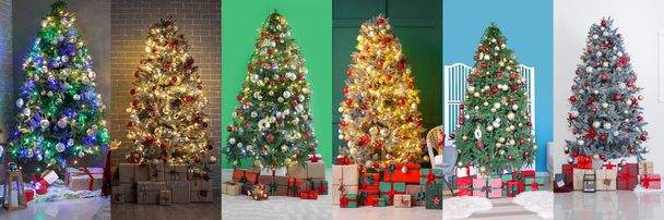 Collage de beaux arbres de Noël avec des cadeaux dans les intérieurs des salons - Photo, image