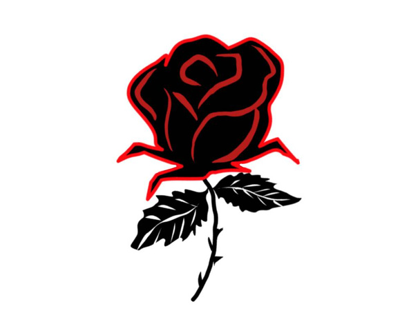 Красная роза это ручная работа. линии красный цветок розы соцветия силуэт изолирован на белом фоне. Иконка коллекции роз. Иллюстрация Дудла. - Фото, изображение