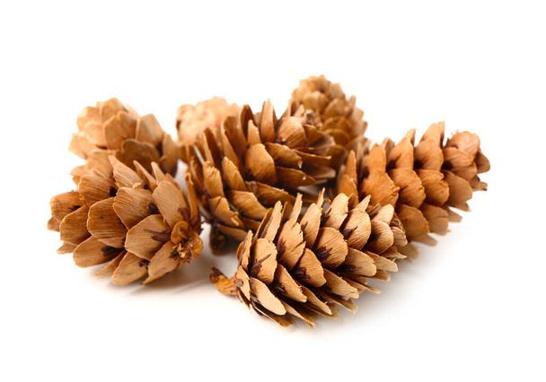 Heap of pine cones on white background - Фото, изображение