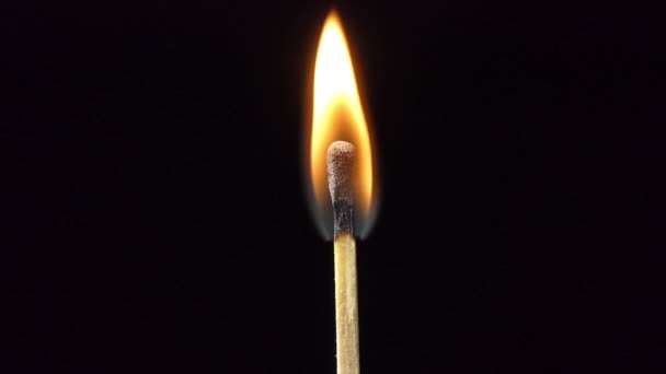 Match vlam ontsteking en branden in slow motion 4k - Video