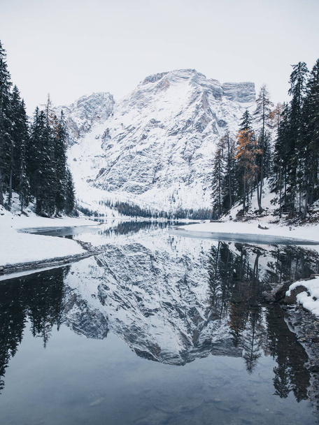 Merveilleux reflet des hautes montagnes dans le lac Gosaub pendant l'hiver. - Photo, image