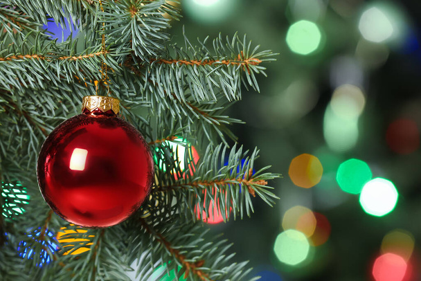 Red Christmas ball hanging on fir tree, closeup - Foto, Imagen