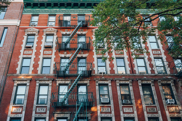 Facade of a typical red brick New York apartment block with fire escape at the front, tree in front. - 写真・画像