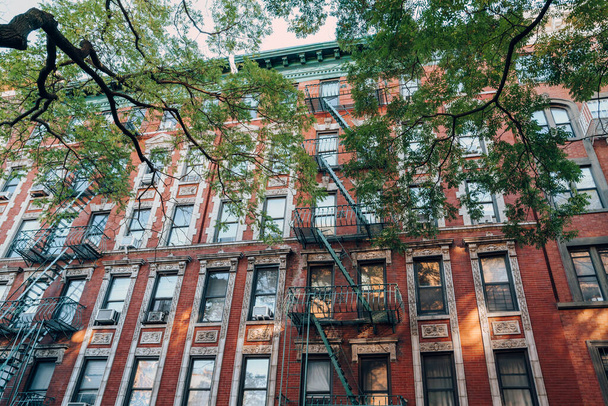 Fasada typowego nowojorskiego bloku mieszkalnego ze schodami pożarowymi z przodu, drzewo z przodu. - Zdjęcie, obraz