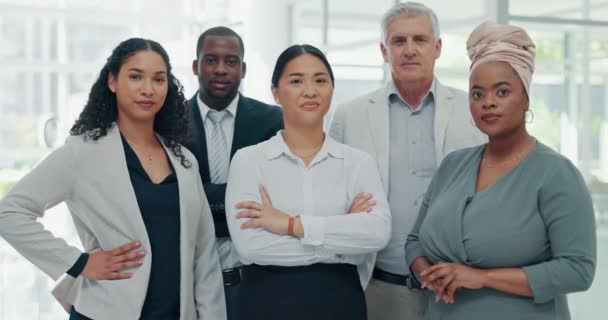 Leadership, confidence and diversity, startup team standing in office with woman ceo. Teamwork, collaboration and trust, successful business women and men with team leader at legal advisory company - Footage, Video
