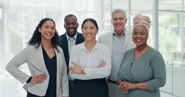 Portrait, collaboration and diversity with a business team standing arms crossed together in their office. Corporate, teamwork and trust with a man and woman employee group confident in the workplace. - Filmati, video