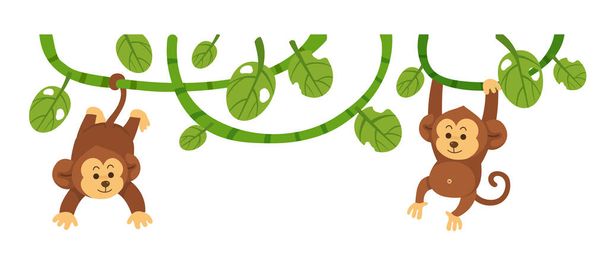 A majom egy ágon lóg elszigetelt vektor illusztráció - Vektor, kép