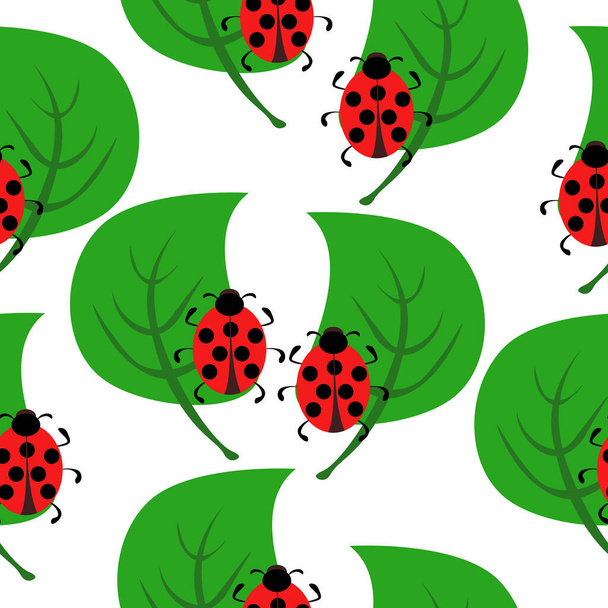 Coccinelles et vert l motif sans couture, insectes mignons et les plantes sur fond blanc illustration vectorielle - Vecteur, image