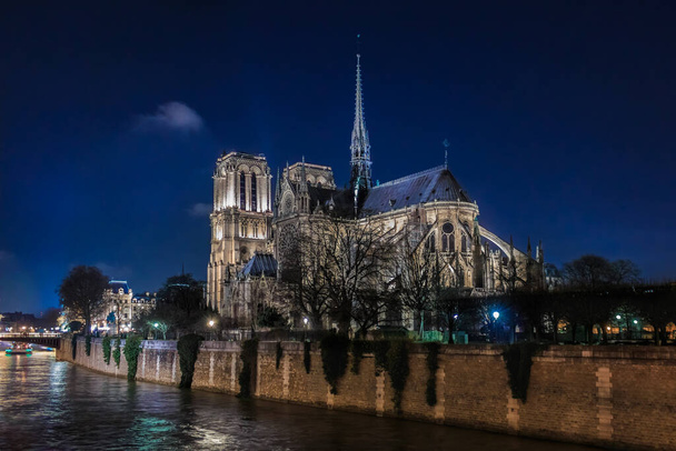 Oświetlona katedra Notre Dame de Paris z wieżą, przed pożarem w nocy, najsłynniejsza na świecie gotycka katedra rzymskokatolicka w Paryżu, Francja - Zdjęcie, obraz