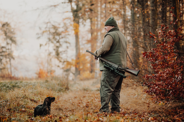 Sonbahar av sezonu, tüfekli ve köpekli avcı ormanda ya da ormanda vahşi bir hayvanı arıyor, açık hava sporları konsepti. - Fotoğraf, Görsel