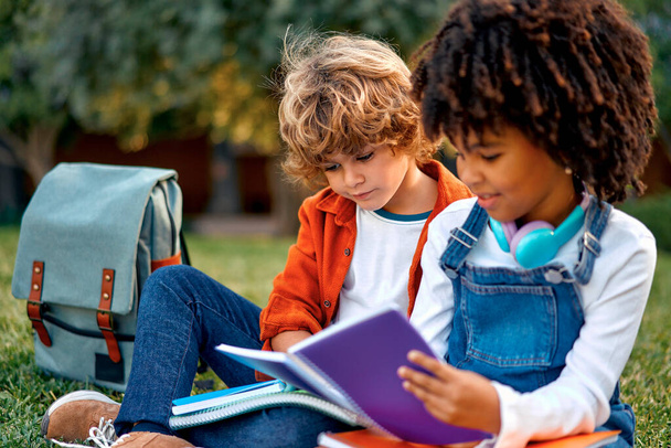 Adorable schoolchildren doing their homework together while sitting on the grass in the park. Back to school. African American girl with Caucasian cute boy communicate after school. - Valokuva, kuva