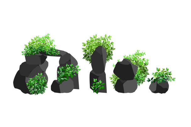 Collection of pieces of coal, graphite, basalt and anthracite. A set of black charcoal of various shapes and plants.The concept of mining and ore in a mine.Rock fragments and boulders. - Vector, Image