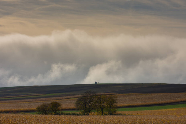 champs avec un sanctuaire au bord de la route un énorme mur dense de brouillard blanc sur le sol en automne - Photo, image