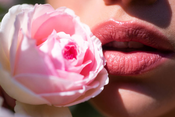Sensual womens lip. Lips with lipstick closeup. Beautiful woman lips with rose - Photo, image