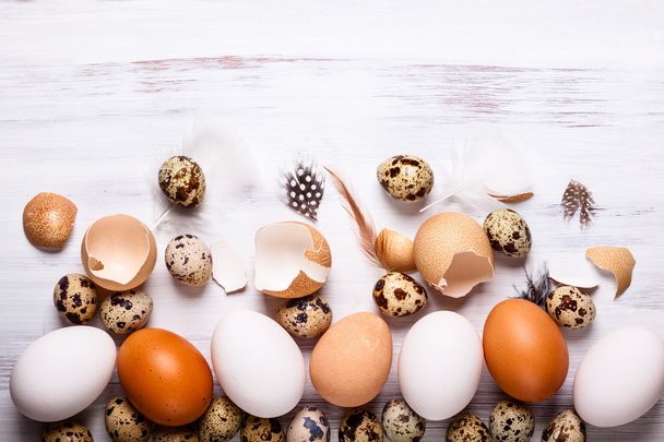 Different  Eggs - Фото, зображення