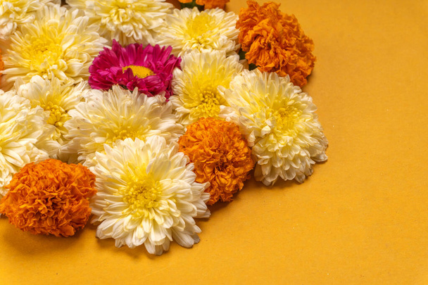 lähikuva kauniita kukkia keltaisella pohjalla - Valokuva, kuva