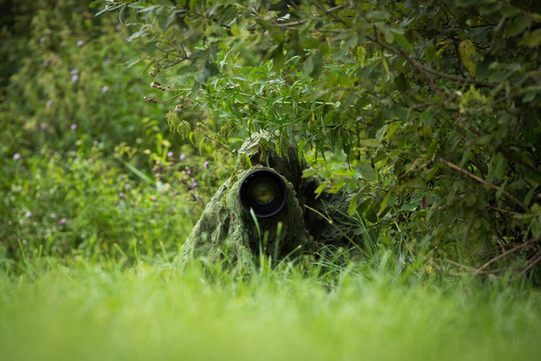 夏の自然の中で緑のカモフラージュネットの下に隠れて大きなレンズを持つ野生の写真家。カメラを通して野生動物の写真を撮る人. - 写真・画像