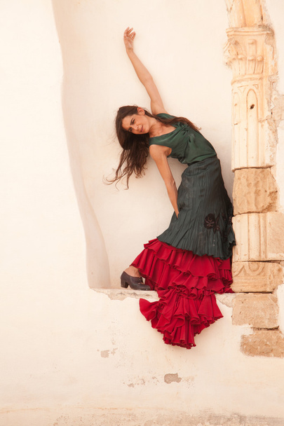 flamenco and old church - Foto, afbeelding