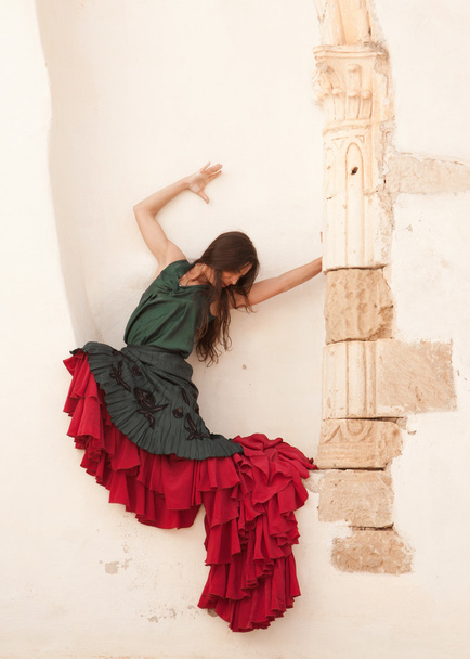 flamenco and old church - Фото, изображение