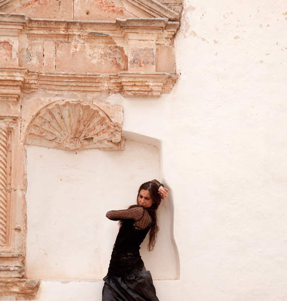 Flamenco and old church - Foto, afbeelding
