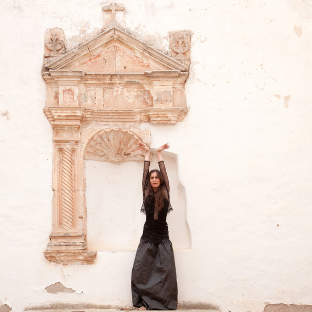 Flamenco and old church - Фото, зображення