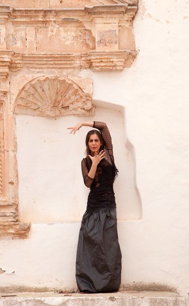 Flamenco and old church - Foto, immagini