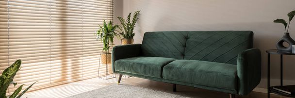Panorama of stylish and cozy green sofa, decorations and black side table in elegant living room with big window behind wooden blinds - Foto, afbeelding