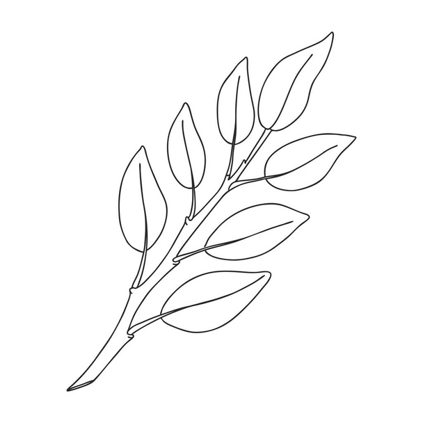 A sprig of plants with leaves on the stem. Botanical decorative element. Simple black and white vector illustration drawn by hand, isolated on a white background - Vektör, Görsel