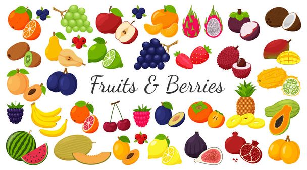 A large set of tropical, exotic, citrus fruits. Fruit and berry icons. Whole fruit, half cut and slices. Huge collection.Flat. Color vector illustration. Design elements isolated on white - Vektori, kuva