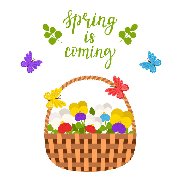 Wicker basket with spring and summer flowers, pansies, leaves and butterflies. The words Spring is coming. Bright, botanical color vector illustration, postcard in flat style. Isolated on white - Vector, Image