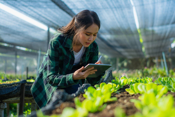有機農場の新鮮な緑の野菜製品とタブレットチェック品質を使用して、若い女性のスマート農家や農学者、コンセプトデジタル技術スマート農業とスマート農業 - 写真・画像
