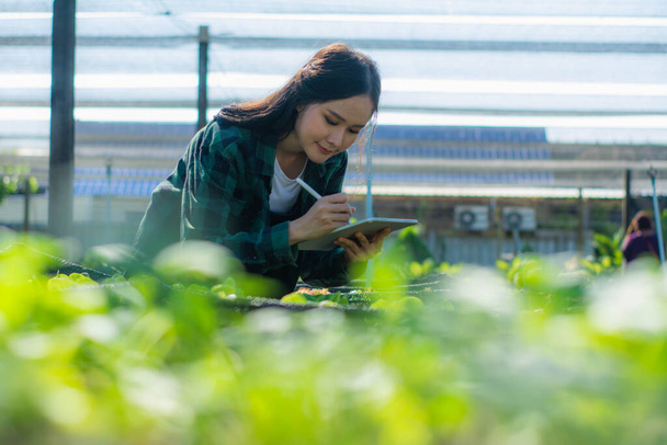 Mujer joven agricultora inteligente o agrónoma, utilizando la calidad de comprobación de tabletas, con productos de verduras verdes frescas granja orgánica, tecnología digital concepto agricultura inteligente y agricultura inteligente - Foto, Imagen
