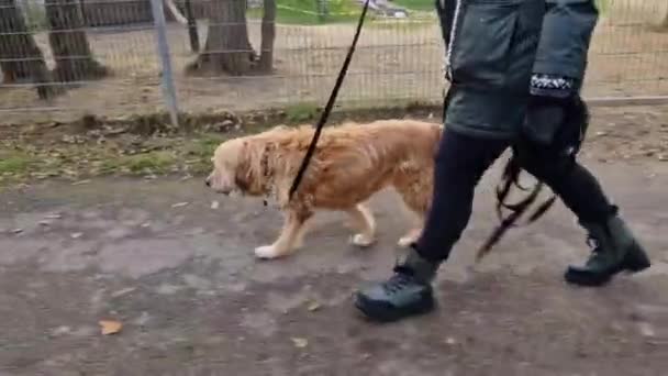 Vrouw loopt buiten met hond - Video