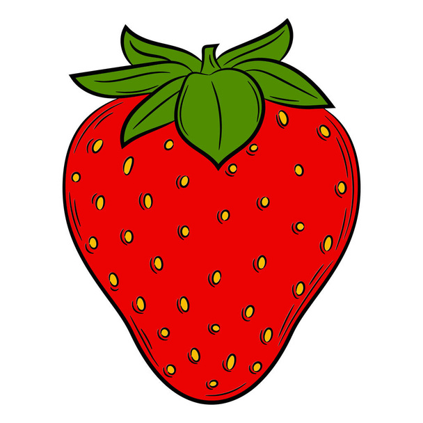 Strawberry fruit in a linear style. Colorful vector decorative element, drawn by hand. - Vector, Imagen