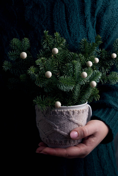 A hand holds a mug with branches of a Christmas tree against the background knitted sweater - Fotó, kép