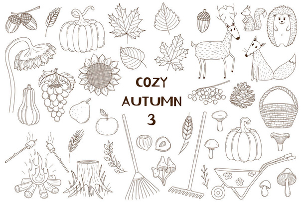 A set of decorative elements. Autumn, forest animals. Crops, forests, animals. Design collection of outline doodles. Black and white vector illustration. Isolated on a white background - Vecteur, image