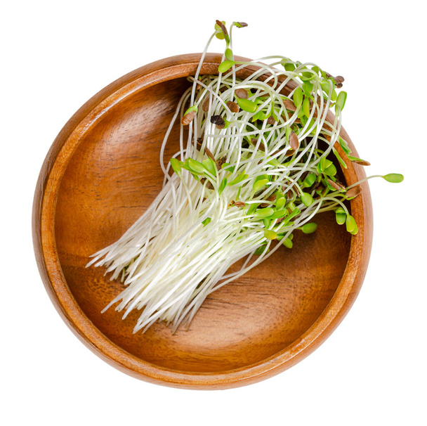 Common flax, microgreens in a wooden bowl. Fresh, raw, ready to eat and green seedlings of linseed, partly still with the seed coats on the tips. Linum. Used as healthy vegetable greens or as garnish. - Photo, Image
