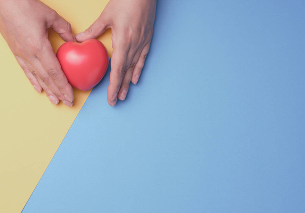 Γυναικεία χέρια έχουν κόκκινη καρδιά, μπλε κίτρινο φόντο. Έννοια αγάπης και δωρεάς, top view - Φωτογραφία, εικόνα