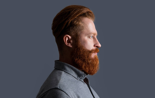 profile of bearded guy with long beard isolated on grey background. studio shot of bearded guy. beard care. handsome bearded guy has beard. - Foto, Imagem