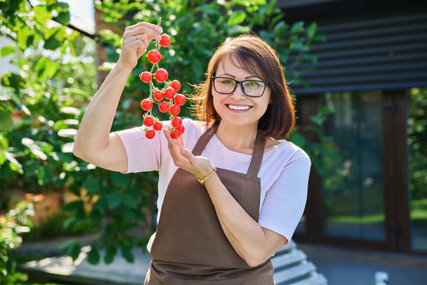Close-up of branch of red cherry tomatoes in hands of woman. Natural healthy organic food - Φωτογραφία, εικόνα