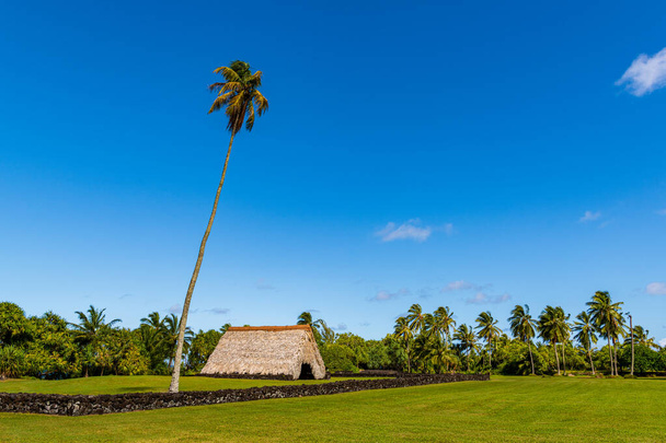 Maison hawaïenne traditionnelle avec toit de chaume au milieu d'un paysage tropical de palmiers au jardin Kahanu, Hana, Maui - Photo, image