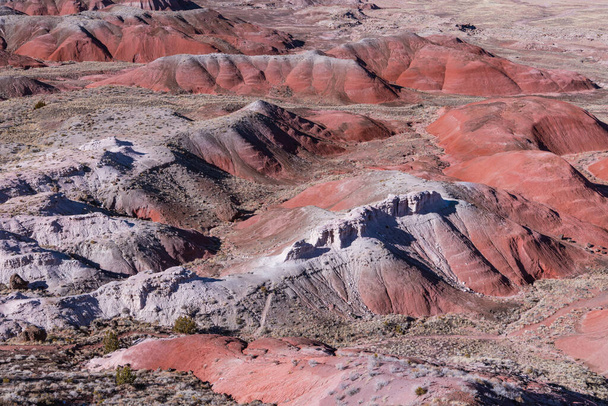 High angle view of vibrant, colorful landscape of desert badlands in Painted Desert, Petrified Forest National Park, Arizona - Foto, Imagen