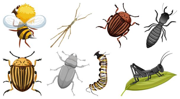 Sammlung verschiedener Insektenvektorillustrationen - Vektor, Bild