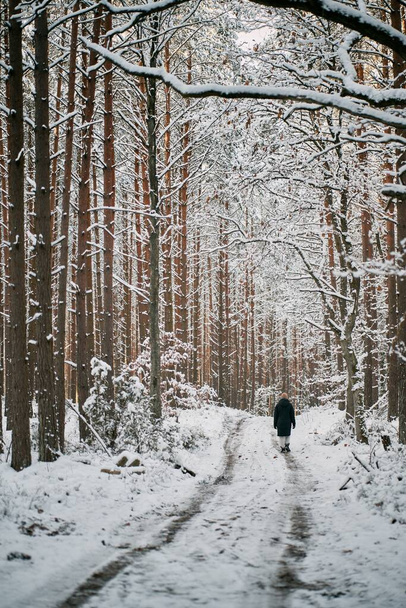 Winter forest, alley covered by snow during snowstorm. Rural pathway in the woods during winter - 写真・画像