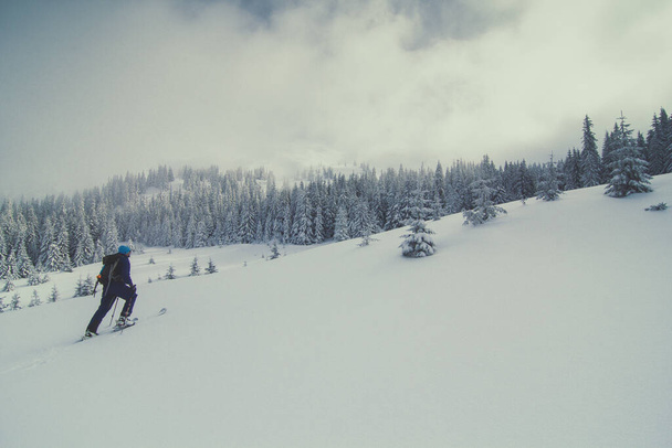 Skifahrer beim Klettern am Berghang Landschaft Foto. Schöne Naturkulisse mit Nebel auf dem Hintergrund. Idyllische Szene. Hochwertiges Bild für Tapete, Reiseblog, Magazin, Artikel - Foto, Bild