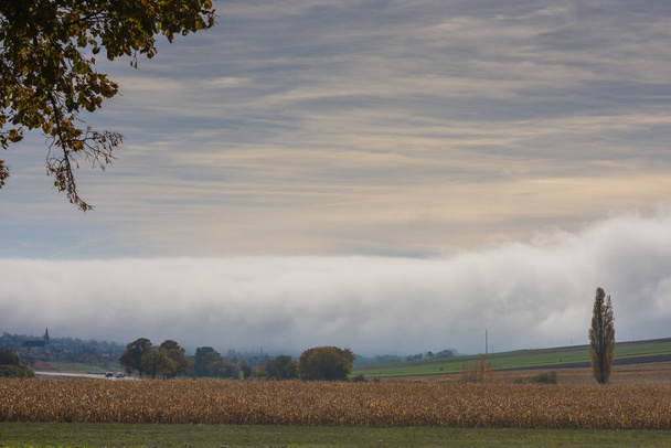enorme pared de niebla blanca densa en el suelo con campos y árboles en el paisaje natural - Foto, imagen