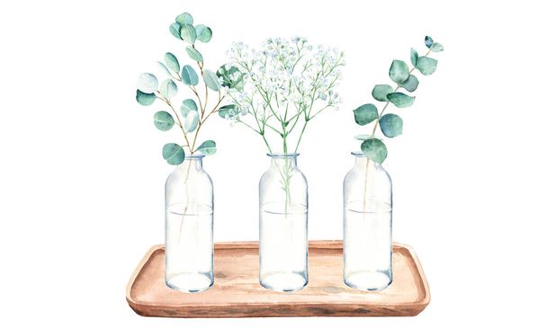花瓶、瓶、木のトレイのボトルにユーカリやジプシーの枝。白を基調とした水彩画の手描きの植物イラスト。ポスター、プリント、ウェブのための環境ミニマリズムスタイル - 写真・画像