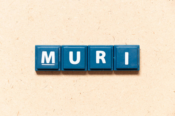 Γράμμα πλακιδίων στην αγγλική λέξη muri σε φόντο ξύλου - Φωτογραφία, εικόνα