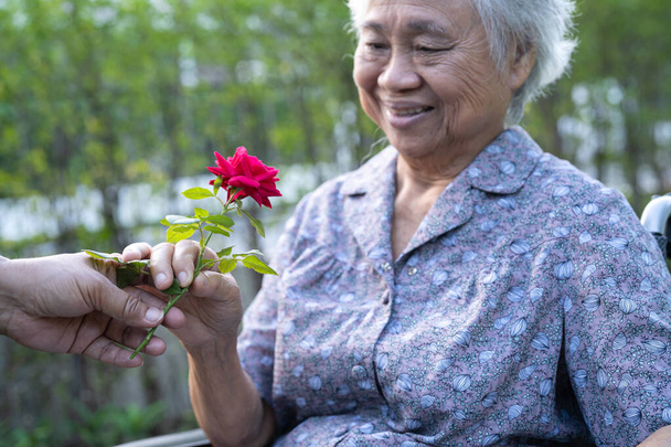 Ασιάτισσα ηλικιωμένη ή ηλικιωμένη γυναίκα που κρατά κόκκινο τριαντάφυλλο σε αναπηρική καρέκλα στο πάρκο. - Φωτογραφία, εικόνα